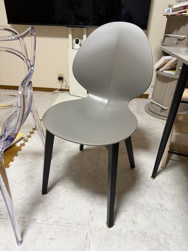 カリガリス　バジル