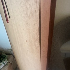 無料　
鏡の画像