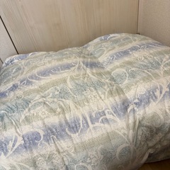 急募‼️羽毛掛け布団①の画像