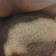 ❷令和7年度　新米　ヒノヒカリ　玄米　30kg　発送も出来ます(⁠◍⁠•⁠ᴗ⁠•⁠◍⁠)の画像
