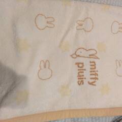 ベビー毛布2枚まとめて（西川リビング／GAP）の画像