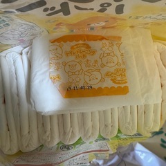 トイレトレーニングパッド 10枚の画像