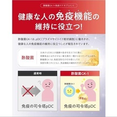 【新品未使用】免疫ケア ビフィラル プラスサプリ 30日分 オリゴ糖 ナットウキナーゼの画像