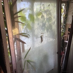 窓、サッシ決まりましたの画像