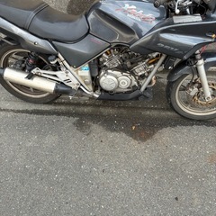 ゼルビス 250 VT250FN ホンダ　VTR CBR スパーダ 埼玉の画像
