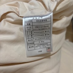 急募‼️羽毛掛け布団2点セット②
の画像