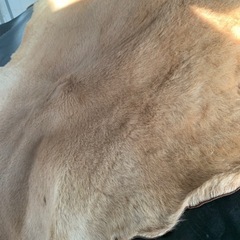 毛皮の画像