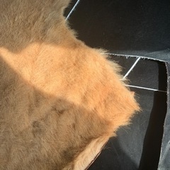 毛皮の画像