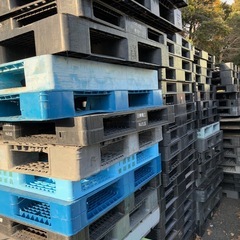 パレット1枚500円！ワンコイン！の画像