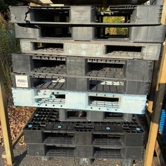 パレット1枚500円！ワンコイン！の画像