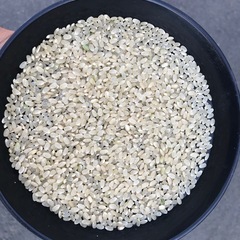 🚀ブラックフライデー特別企画😊29日迄限定価格⭐️コシヒカリ30kg精米無料11月29日までです💦の画像