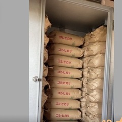 🚀ブラックフライデー特別企画😊29日迄限定価格⭐️コシヒカリ30kg精米無料11月29日までです💦の画像