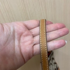 コーチ　ミニバッグ　シグネチャーの画像