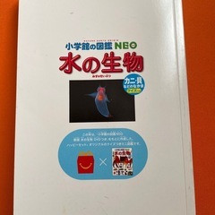 海の 生物小学校図鑑NEOの画像