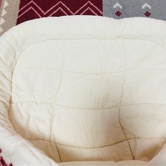 エルゴベビー インサート 新生児の画像