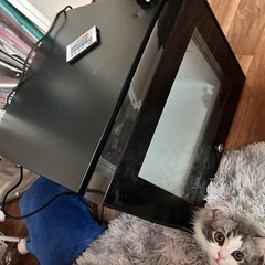 【取引中】アローン 小型冷蔵庫（光る） 20L