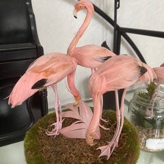 フラミンゴの置物の画像