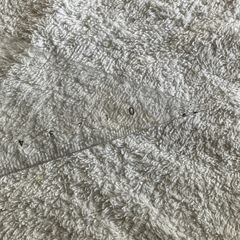 三角定規 大　メモリ20㎝　2個セット 透明プラスチックの画像