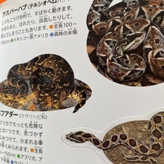 危険生物小学校図鑑NEOの画像