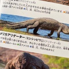 危険生物小学校図鑑NEOの画像