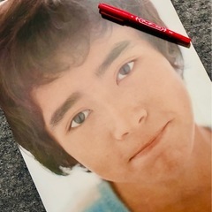 郷ひろみ　三善英史　ビンテージ1972年の画像