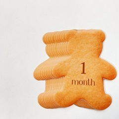 【 限定 モニター価格 】クッキー風のマンスリーカード♡月齢カード 誕生日 出産祝いの画像