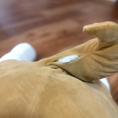 柴犬　ぬいぐるみ　コタロウ　ねむねむの画像