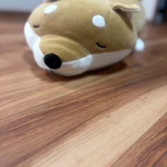 柴犬　ぬいぐるみ　コタロウ　ねむねむの画像