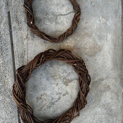 松ぼっくり等　　の画像