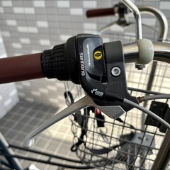 ペット乗せ自転車の画像