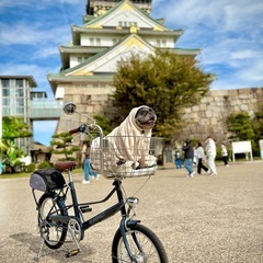 ペット乗せ自転車の画像
