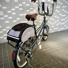 ペット乗せ自転車の画像