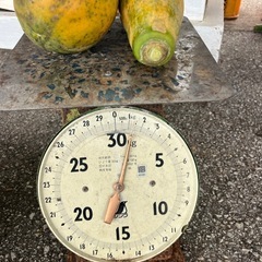 早い者勝ち 本日限り21時以降 フルーツパパイヤ5個＋アップルバナナ2房 まとめ売りの画像