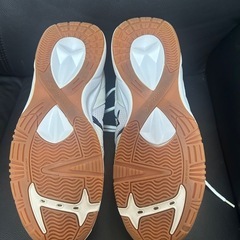 綺麗です　moon star 体育館シューズ 29㎝の画像