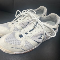 綺麗です　moon star 体育館シューズ 29㎝の画像