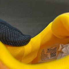 【ジャングルジャングル岸和田和泉インター】NIKE Air max シューズ DNSE HM0810-401 和泉市 堺市 岸和田市 泉大津市の画像