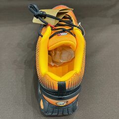 【ジャングルジャングル岸和田和泉インター】NIKE Air max シューズ DNSE HM0810-401 和泉市 堺市 岸和田市 泉大津市の画像