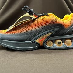 【ジャングルジャングル岸和田和泉インター】NIKE Air max シューズ DNSE HM0810-401 和泉市 堺市 岸和田市 泉大津市の画像