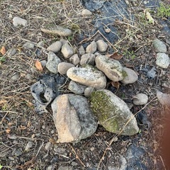 お使いいただける方へ！【無料】大きな石・庭石・漬物石など 現地引取り限定の画像