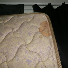 マットレス Z-HI SPRING シングル マット 97×196×16㎝の画像