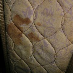 マットレス Z-HI SPRING シングル マット 97×196×16㎝の画像