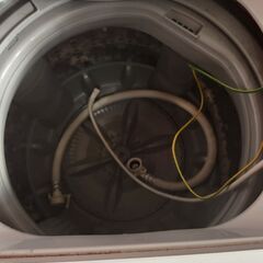 ２０１９年モデル東芝4.5㎏洗濯機の画像