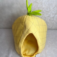 ペットハウスの画像