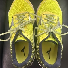 とても綺麗です　MIZUNO スニーカー　　　
28㎝の画像