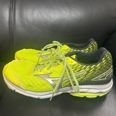 とても綺麗です　MIZUNO スニーカー　　　
28㎝の画像
