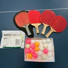 【ジモティ限定特価】 IGNIO 卓球台 IG-2PG0036 セパレートタイプ ピンポン台 家庭用 A0945Gの画像