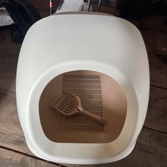 猫トイレの画像