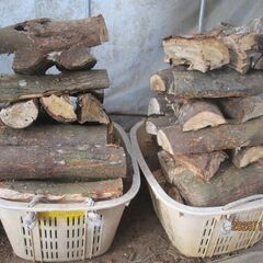 広葉樹２カゴ＋針葉樹2カゴの全部、乾燥薪山盛り、薪ストーブ、キャンプの画像