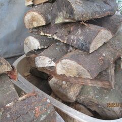 広葉樹２カゴ＋針葉樹2カゴの全部、乾燥薪山盛り、薪ストーブ、キャンプの画像