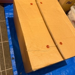 お雛様セットの画像